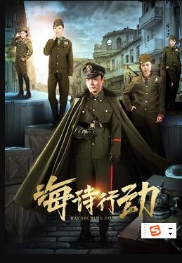 海诗行动 第12集
