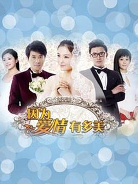 因为爱情有多美DVD版 第01集