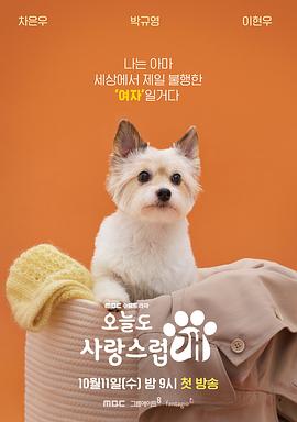 今天也很可爱的狗 第12集