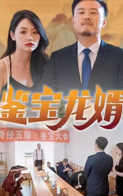 鉴宝龙婿 第09集