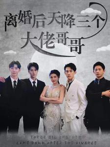 离婚后天降三个大佬哥哥 第01集