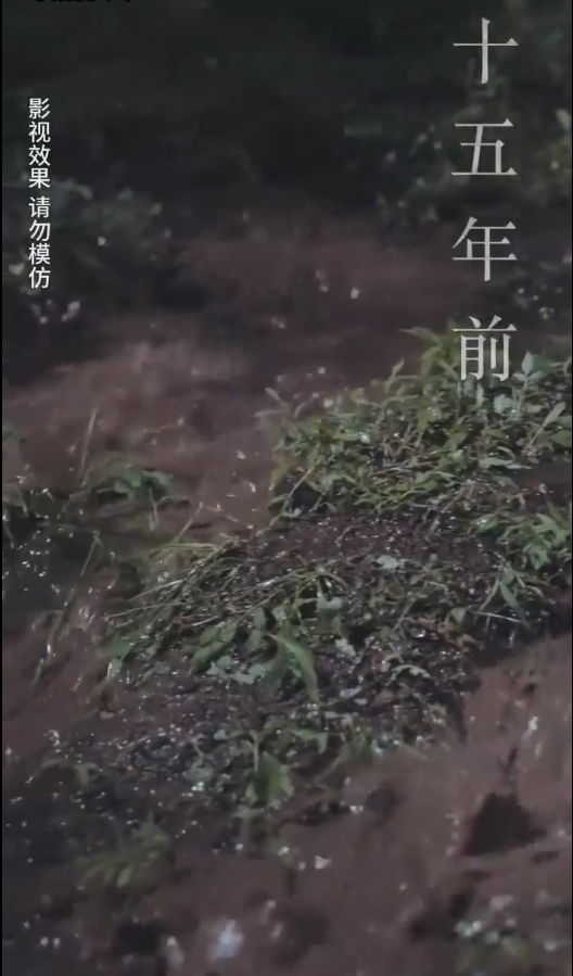 云深见朝阳 第41-60集