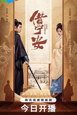 借宁安 第19集