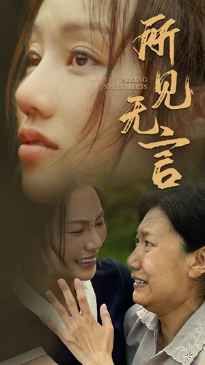 所见无言 第45集