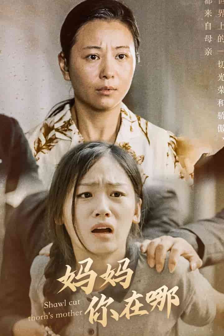 妈妈你在哪 第01集