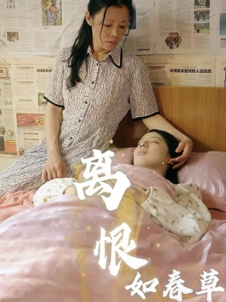 离恨如春草 第01集