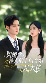 闪婚之捡来的上门女婿是大佬 第72集