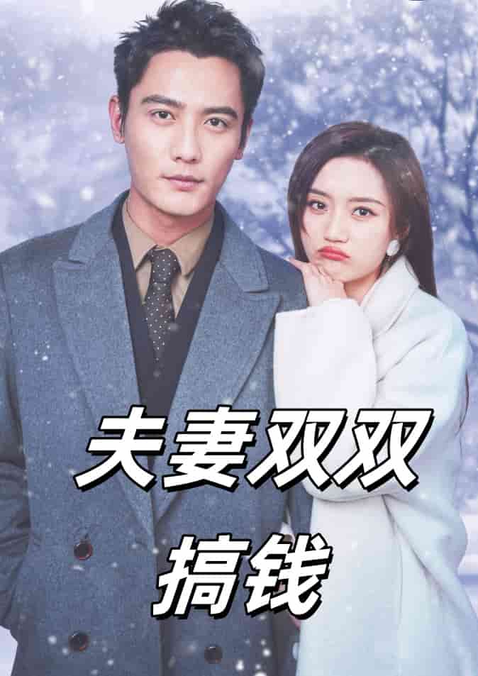 夫妻双双搞钱 第02集