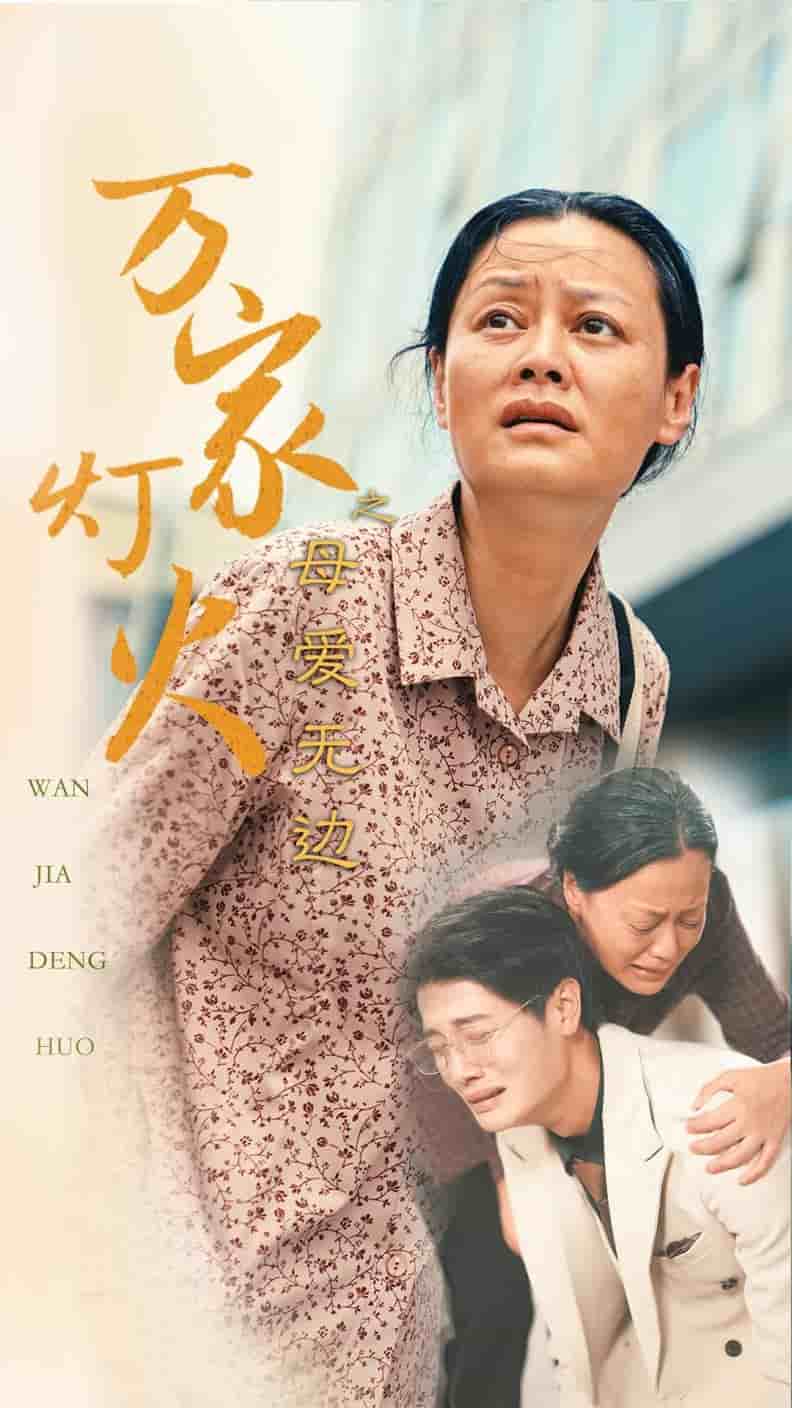 万家灯火之母爱无边 第39集