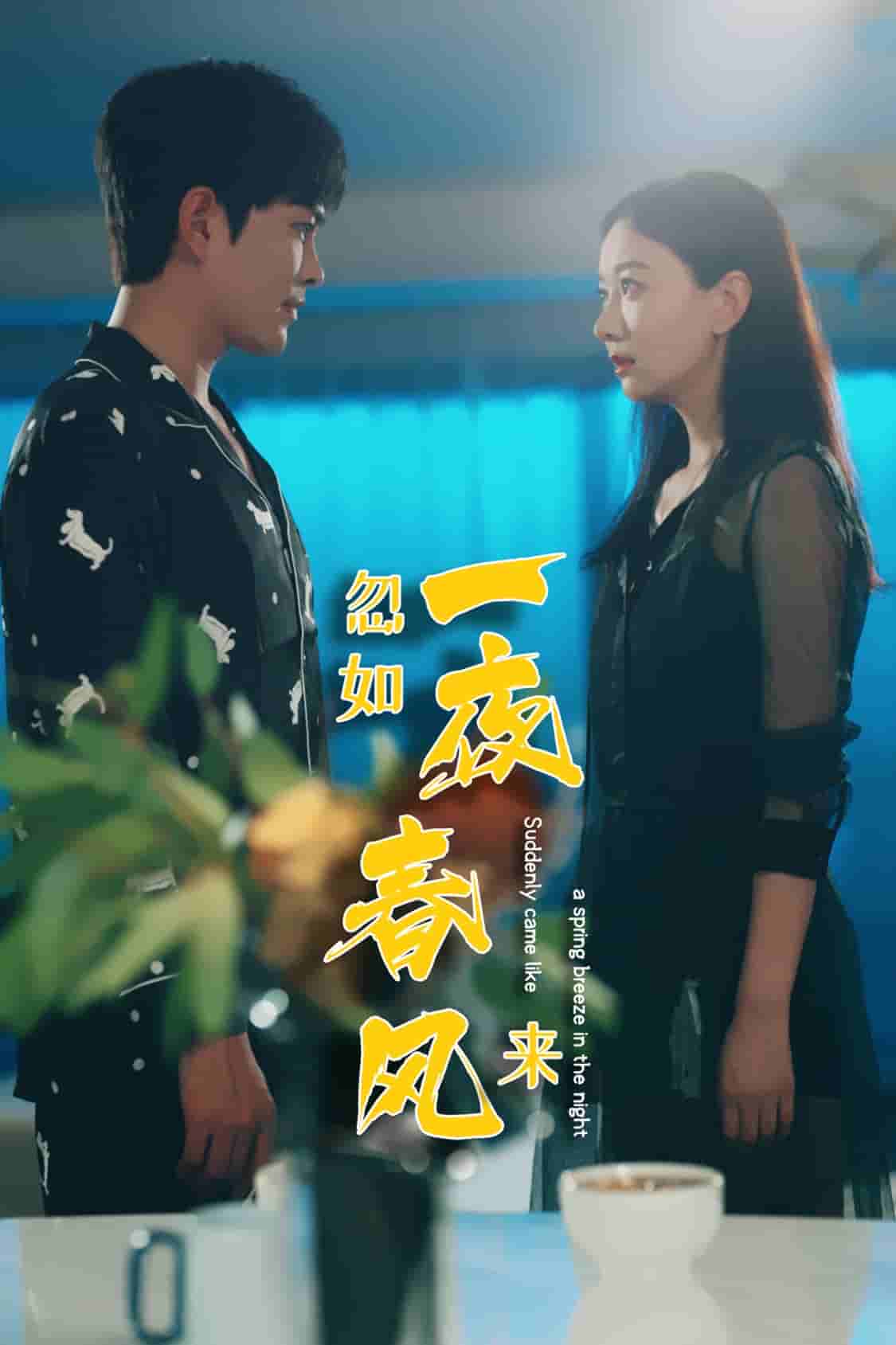 忽如一夜春风来 第04集