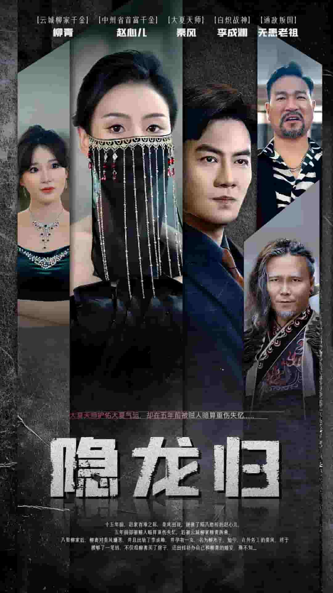 隐龙归 第79集