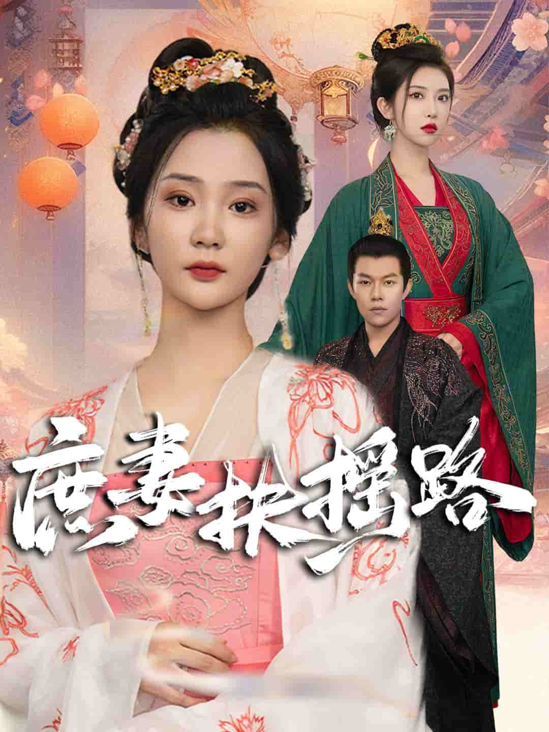 庶妻扶摇路 第03集