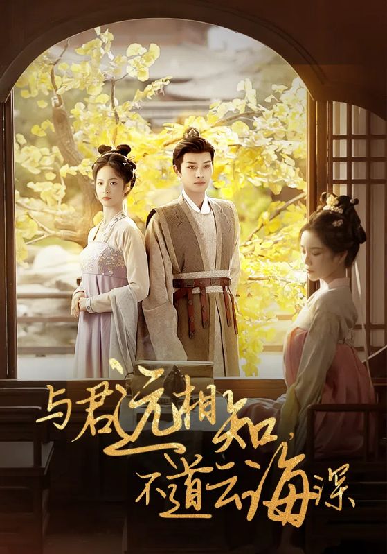 与君远相知不道云海深 第11集