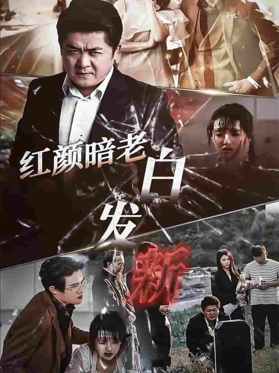 红颜暗老白发新 第56集(大结局)