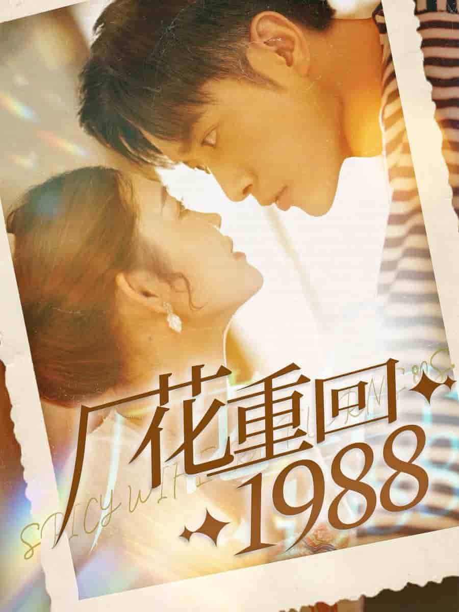 厂花重回1988 第79集