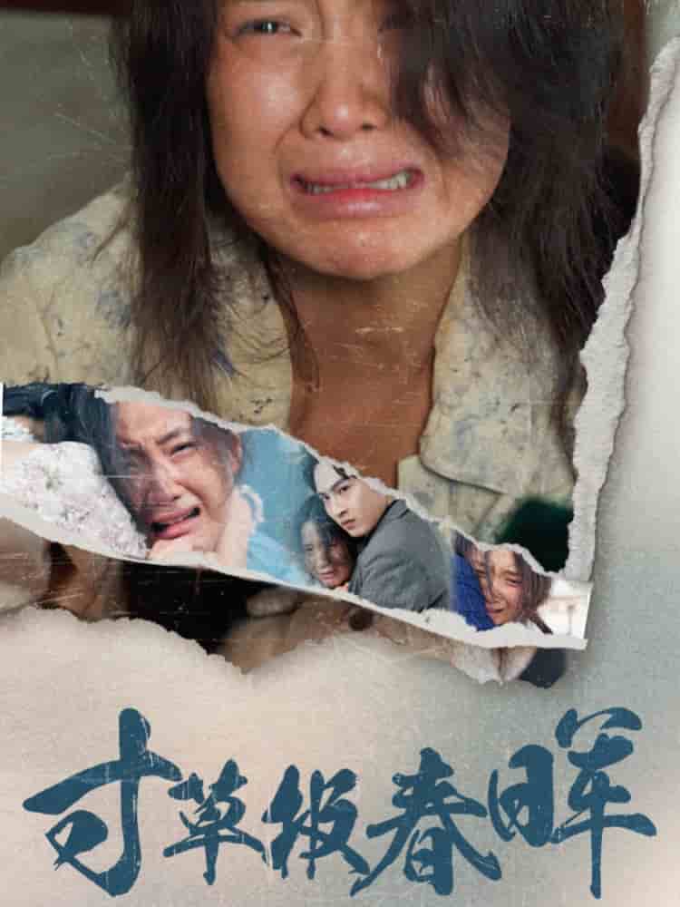 寸草报春晖 第5集