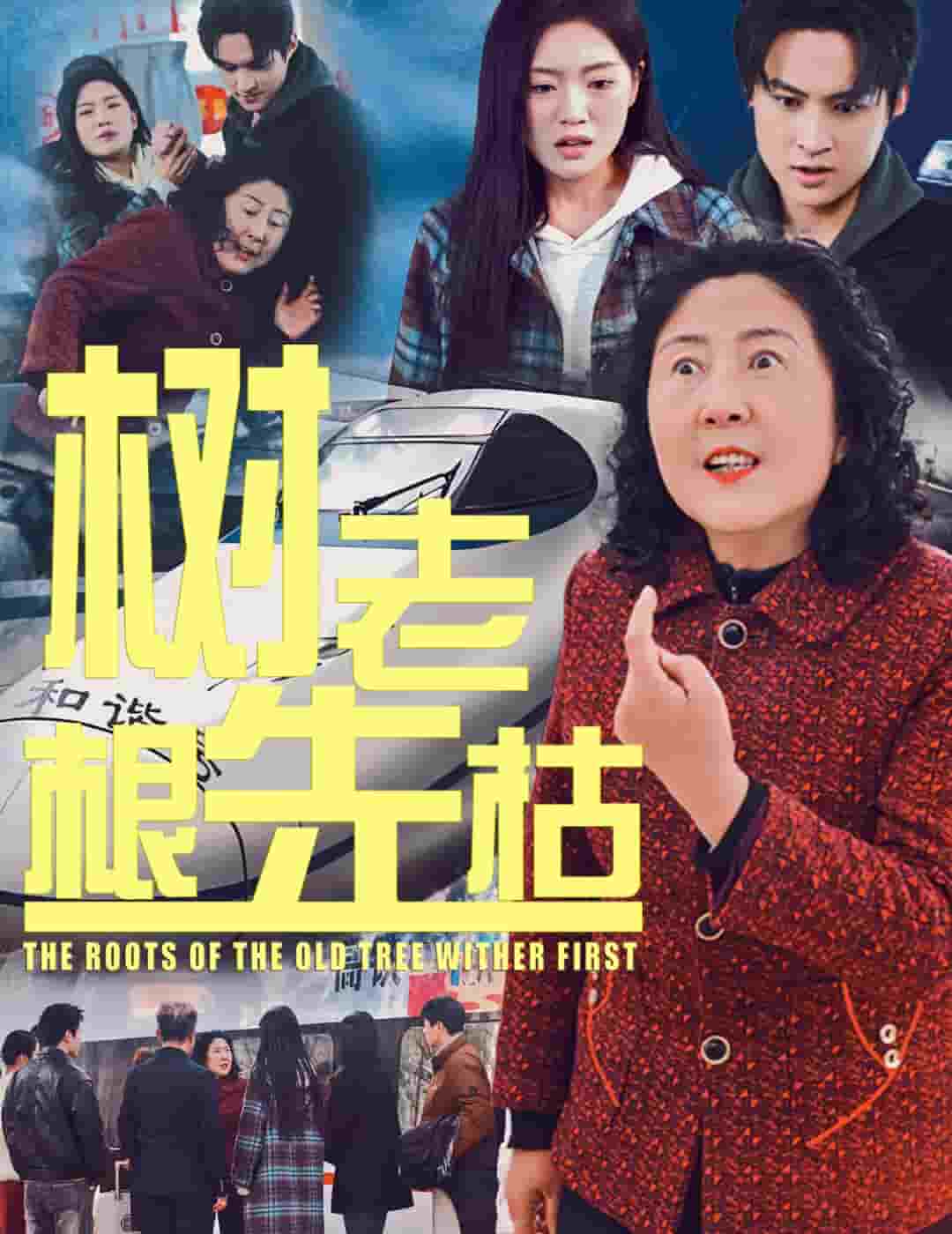 树老根先枯 第1集