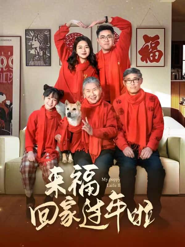 来福回家过年啦 第1集