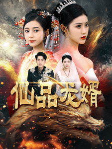 仙品龙婿 第72集