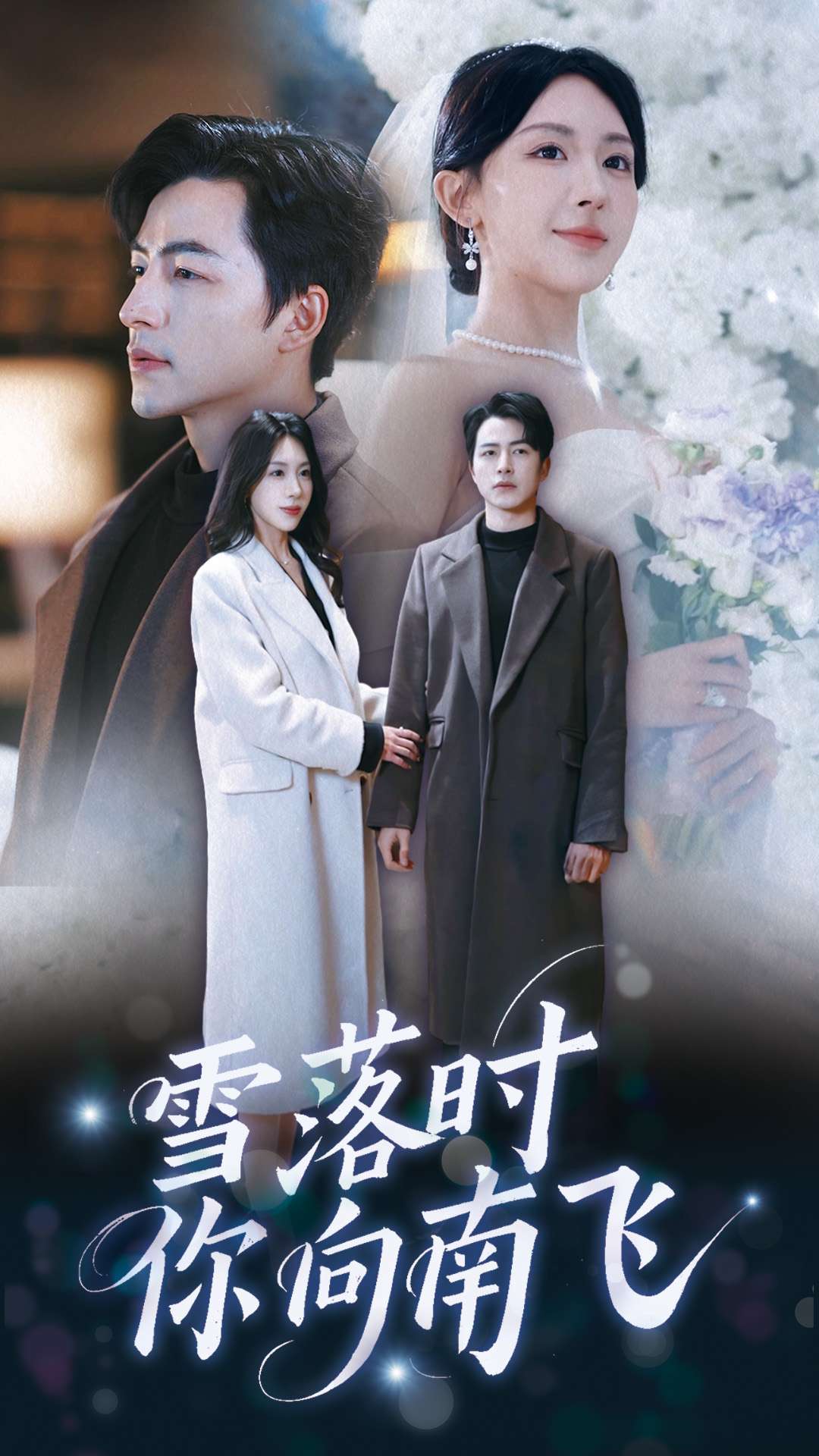 雪落时你向南飞 第15集