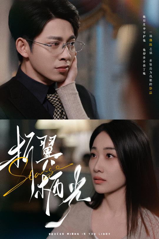 折翼栖光 第1集