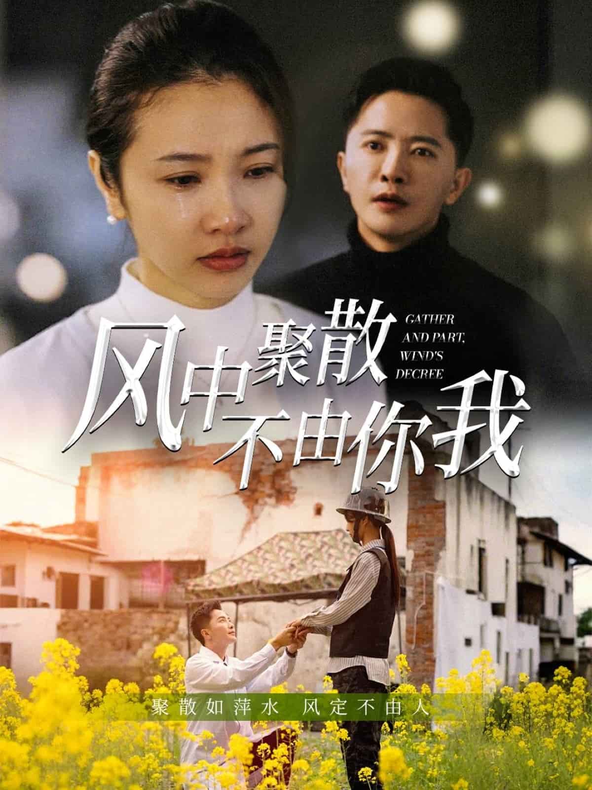 风中聚散不由你我 第1集