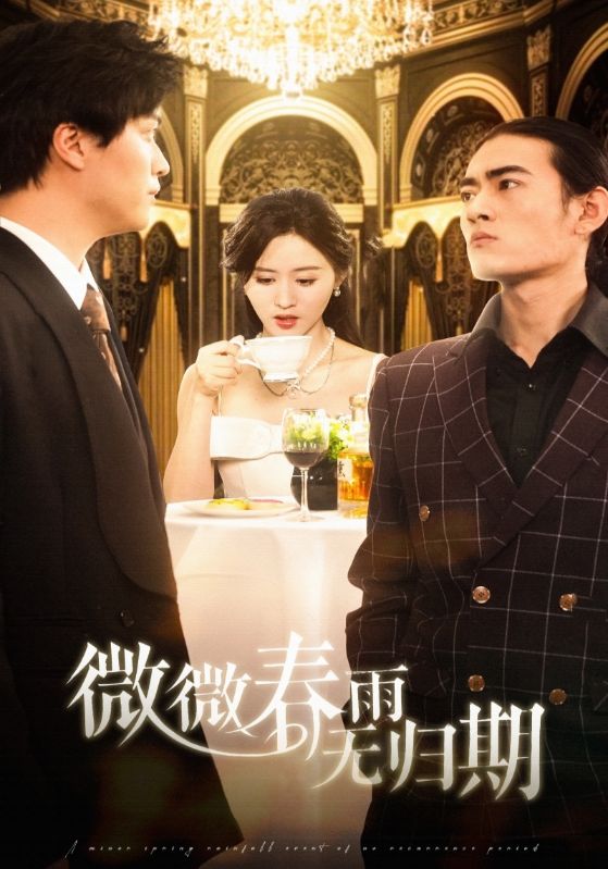 微微春雨无归期 第1集