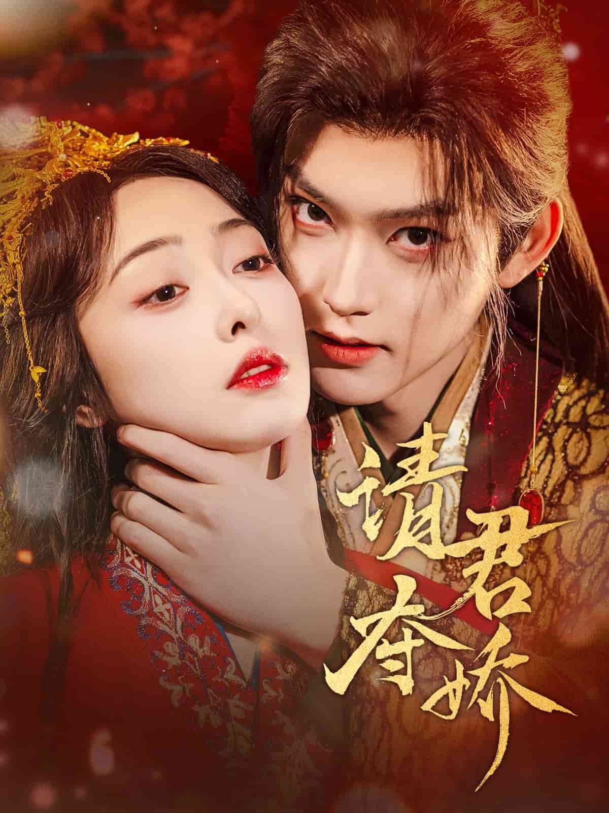 请君夺娇 第42集