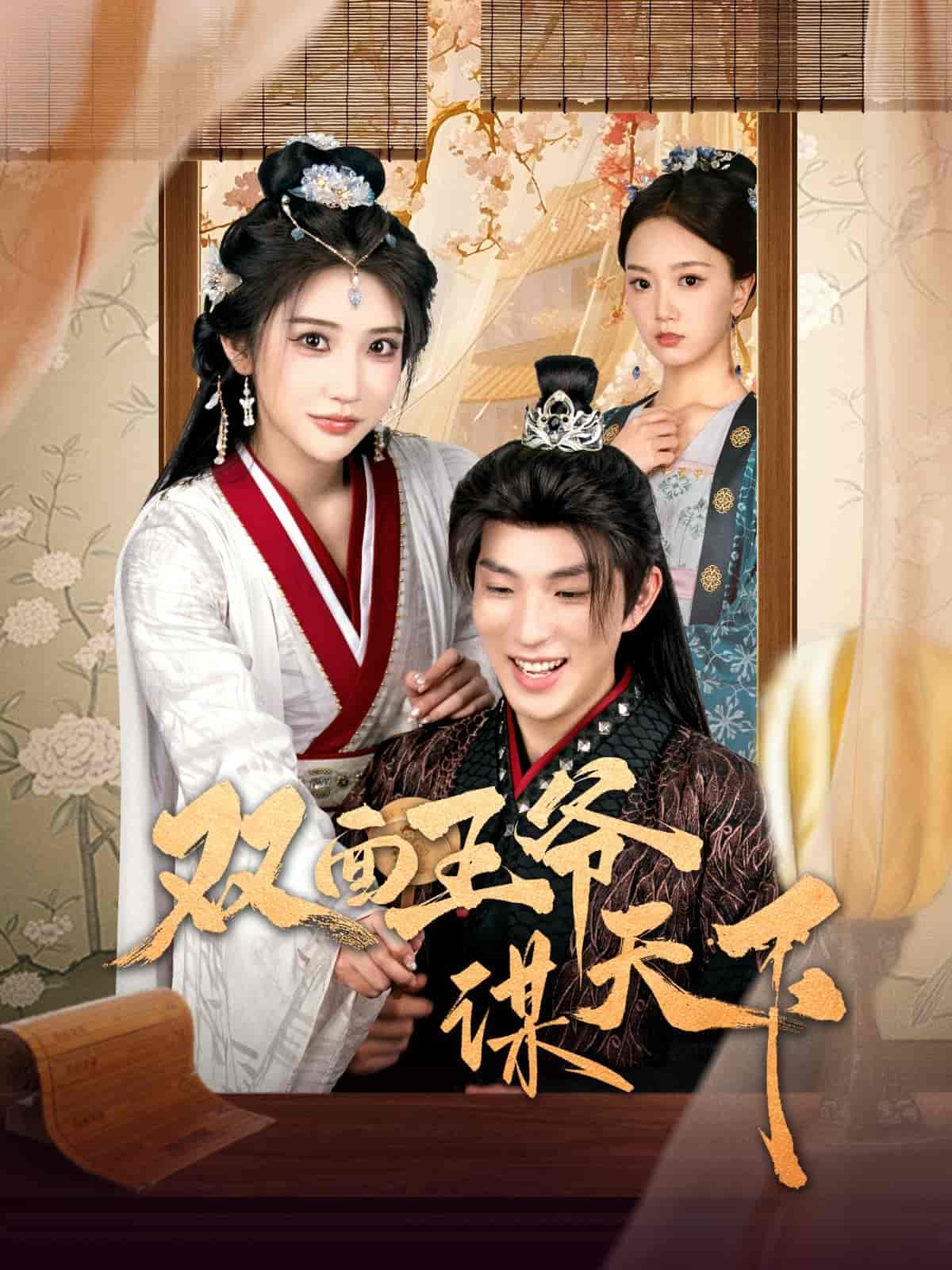 双面王爷谋天下 第91集