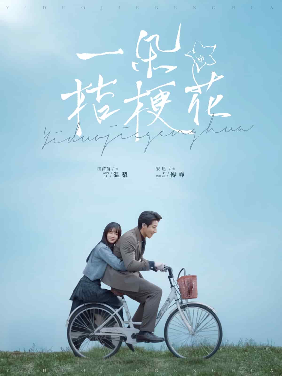 一朵桔梗花 第14集