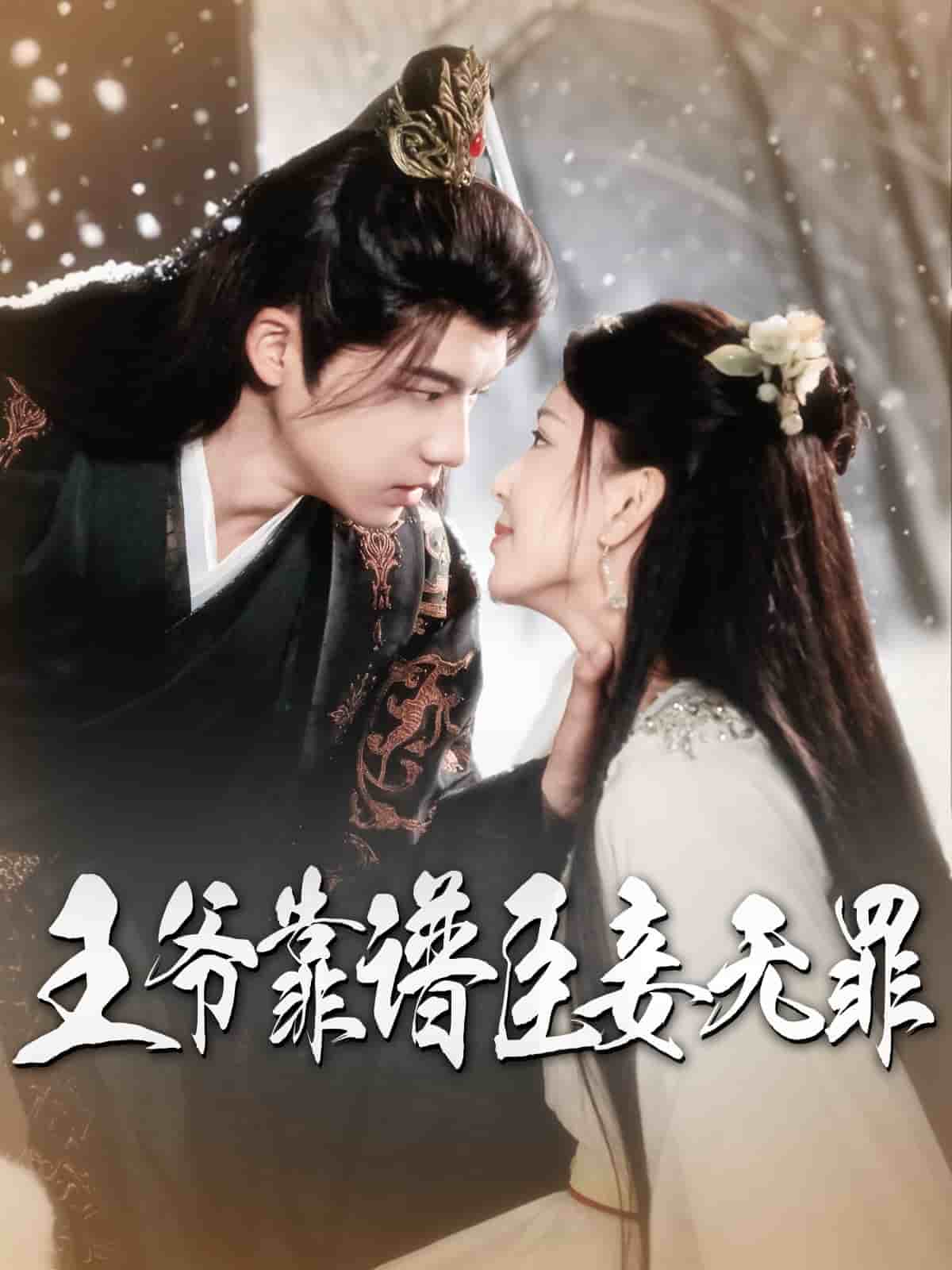 王爷靠谱臣妾无罪 第1集