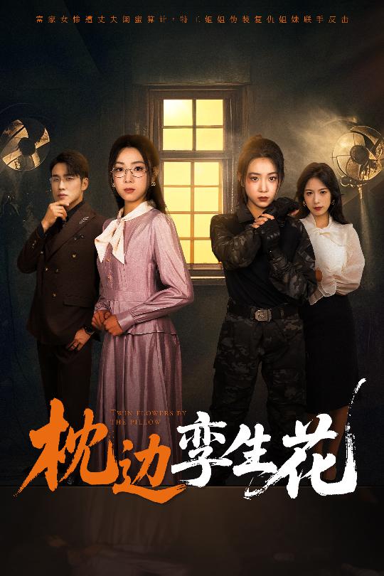 枕边孪生花 第14集