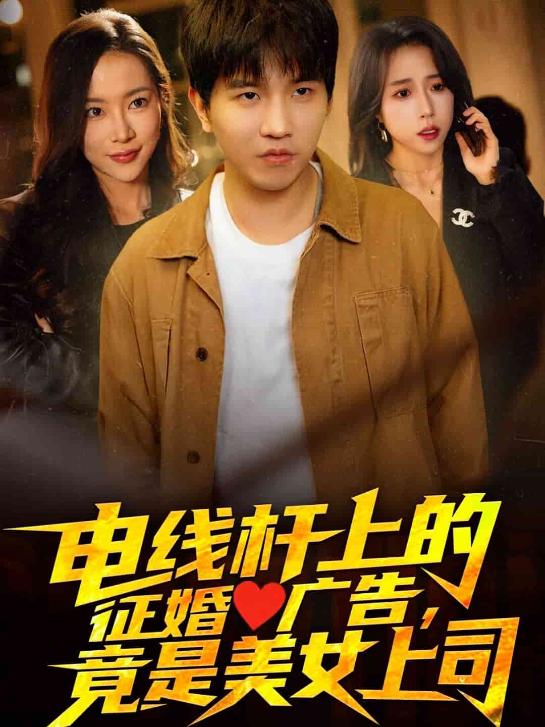 电线杆上的征婚广告，竟是美女上司 第38集