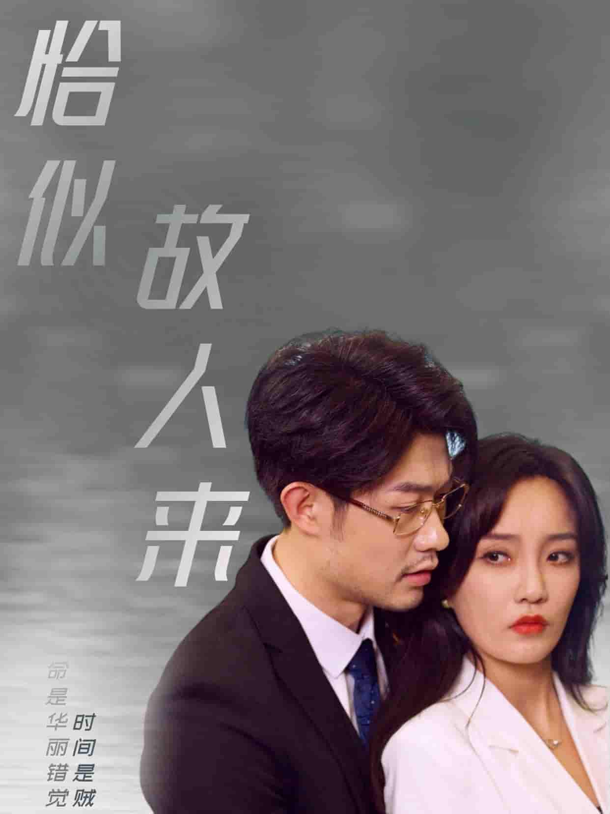 恰似故人来 第65集