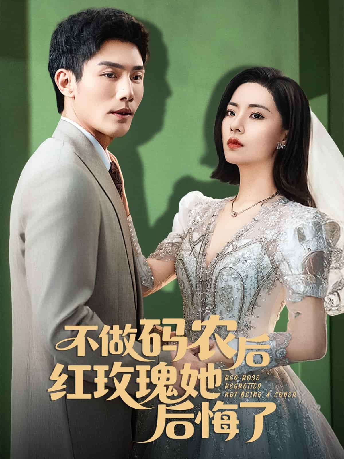 不做码农后红玫瑰她后悔了 第1集