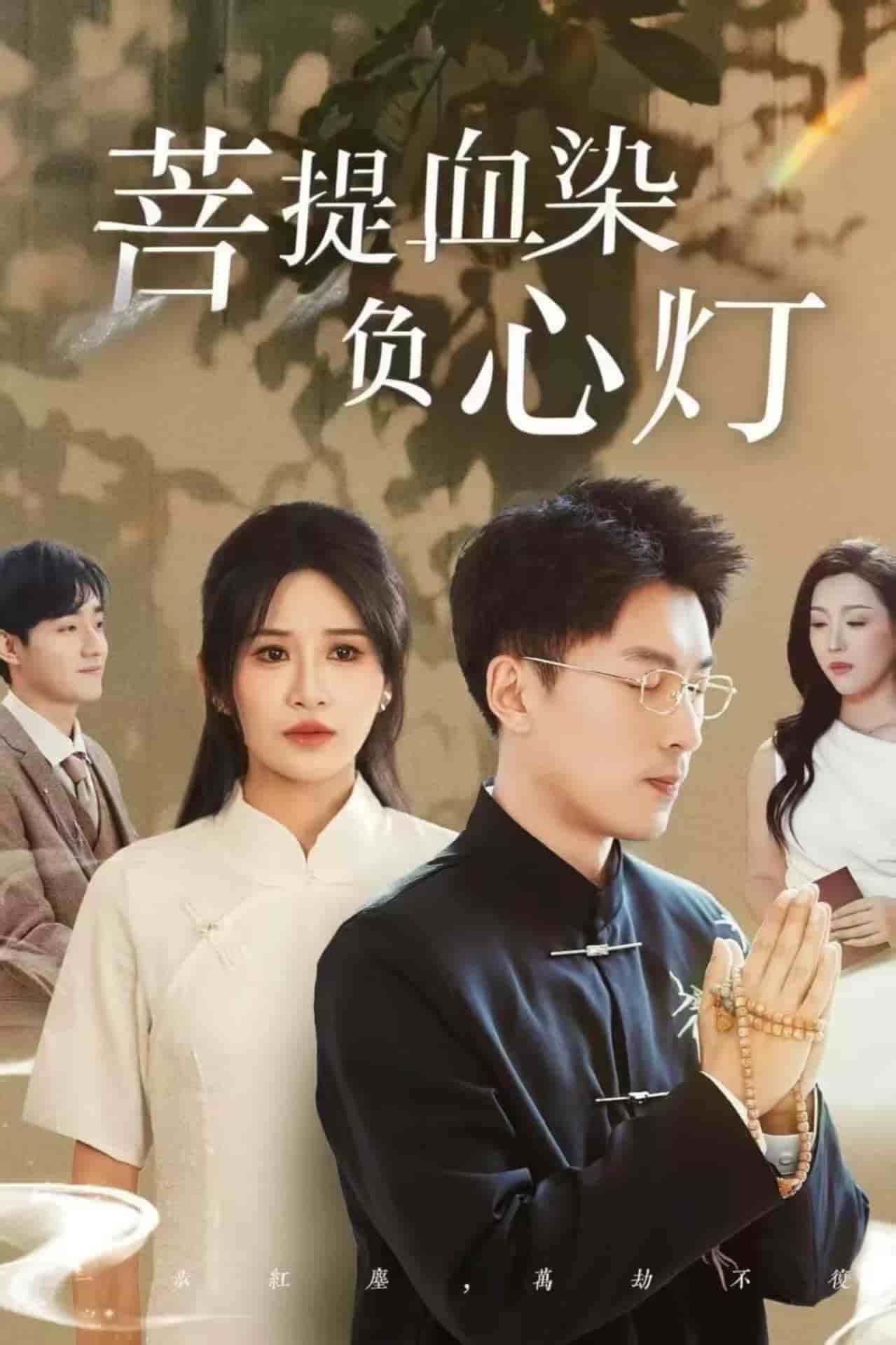 菩堤血染负心灯 第12集