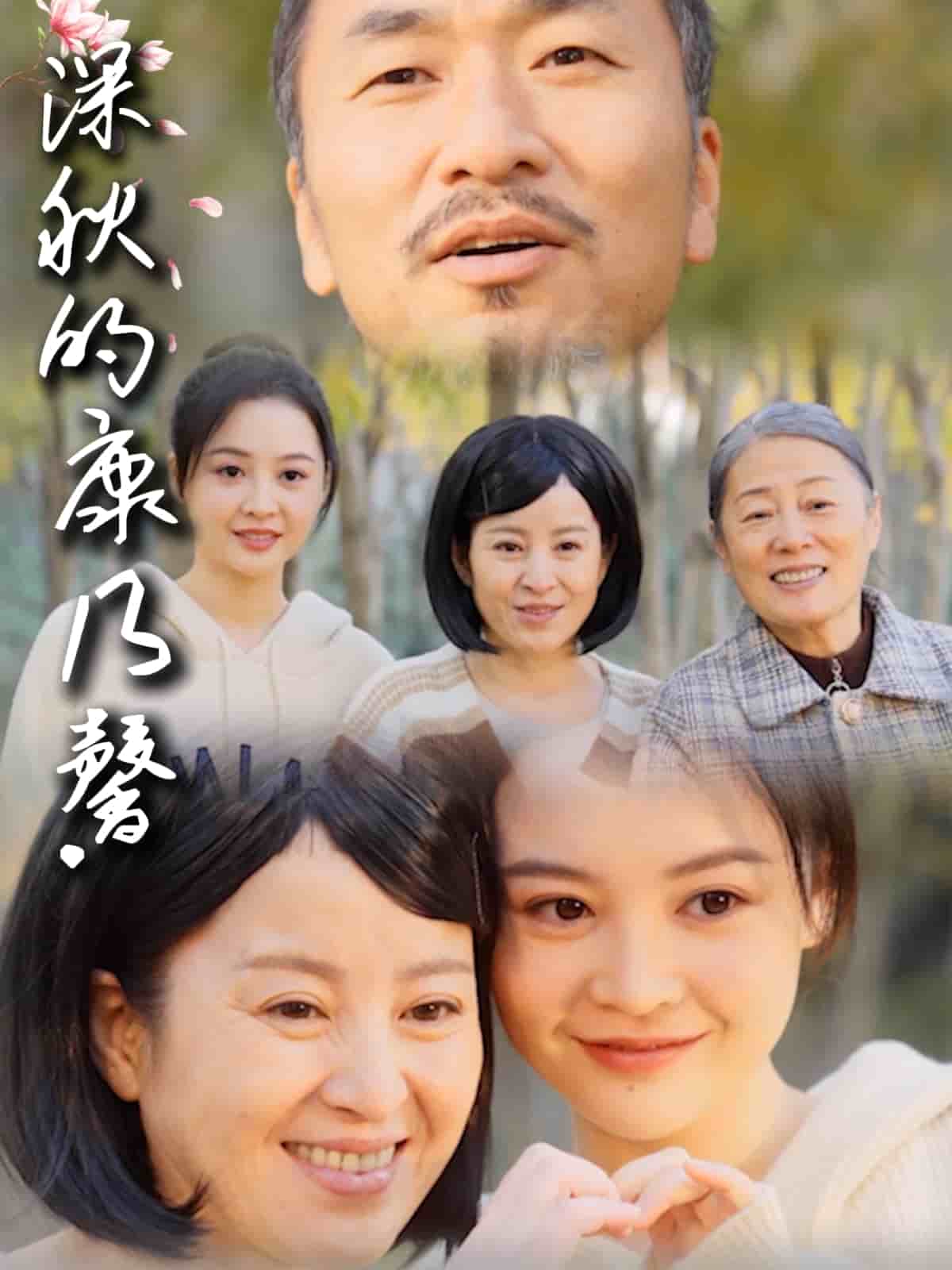 深秋的康乃馨 第1集