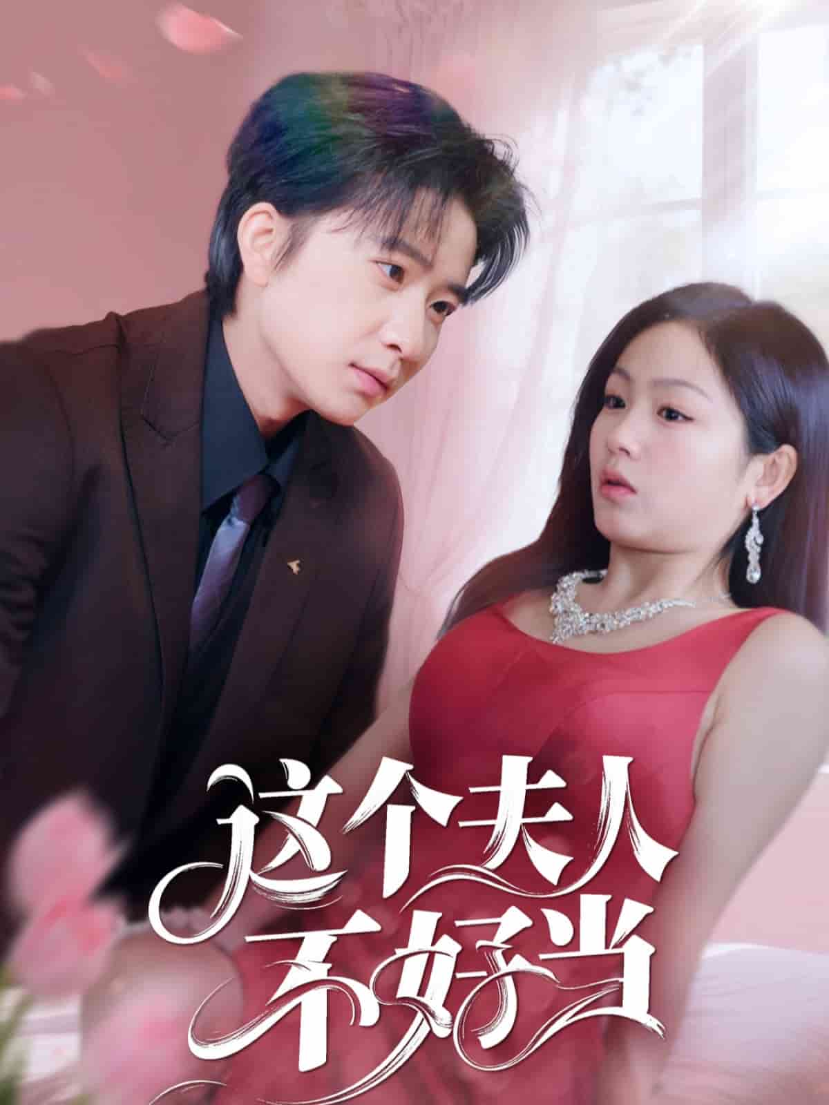 这个夫人不好当 第2集