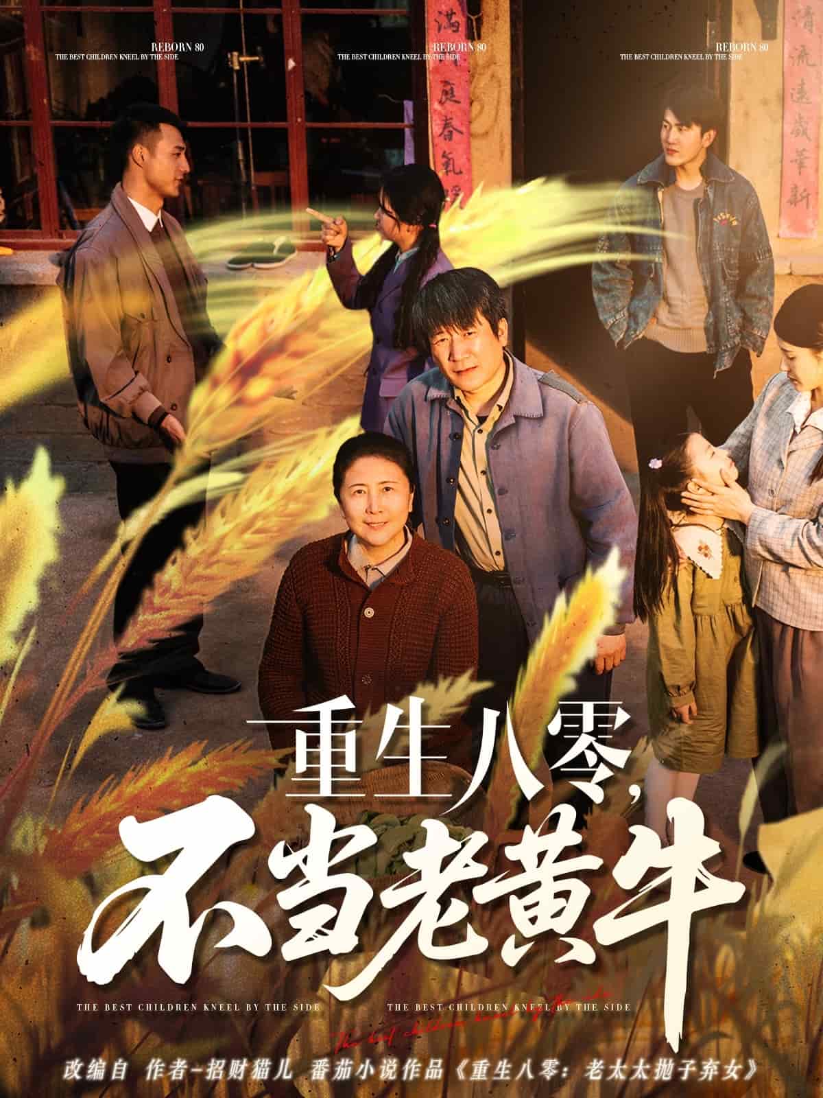 重生八零，不当老黄牛 第65集