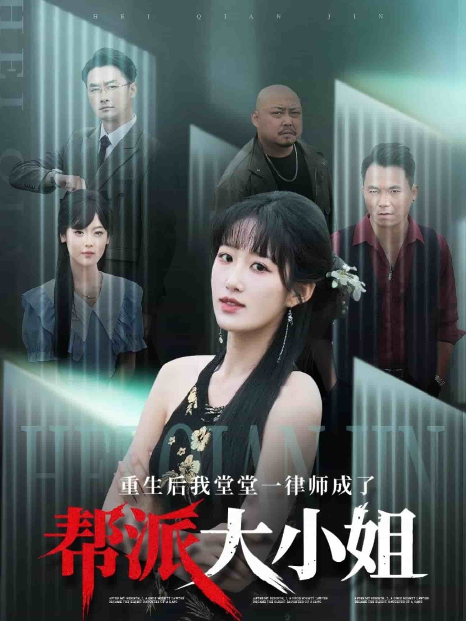 重生后我堂堂一律师成了帮派大小姐 第1集