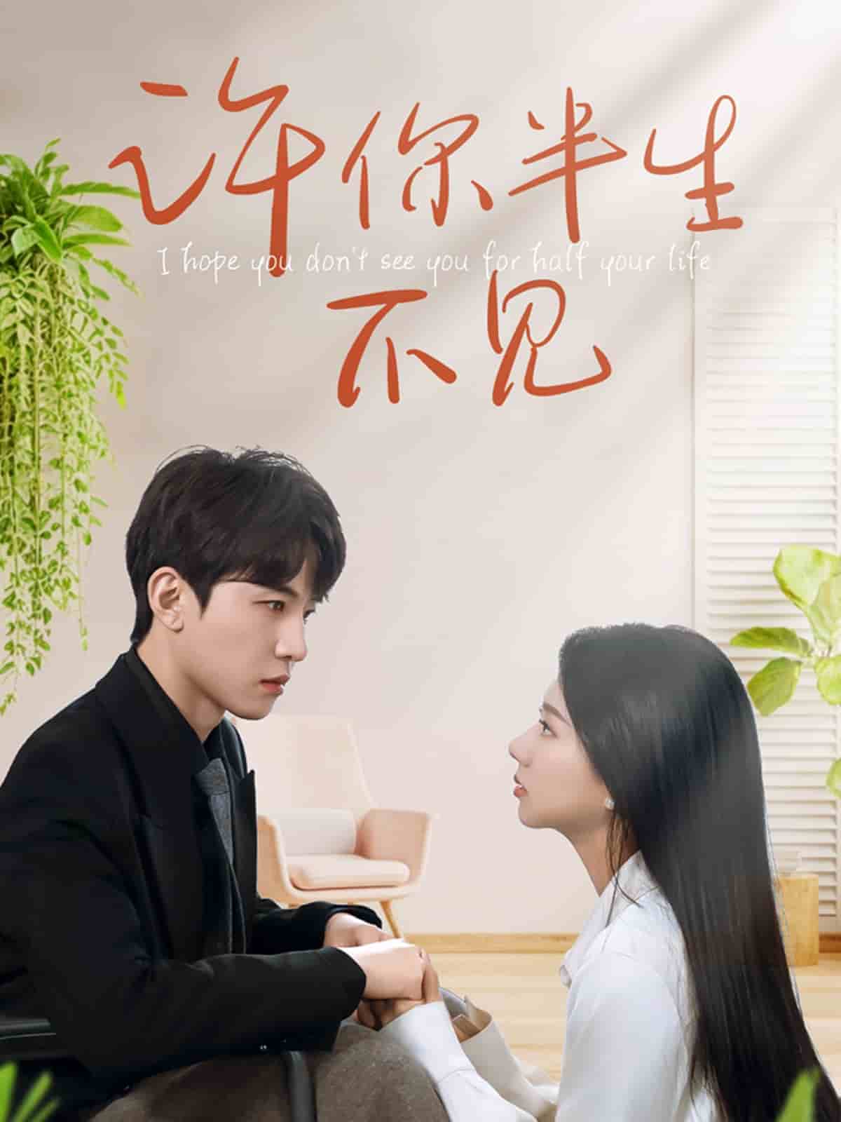 许你半生不见 第1集