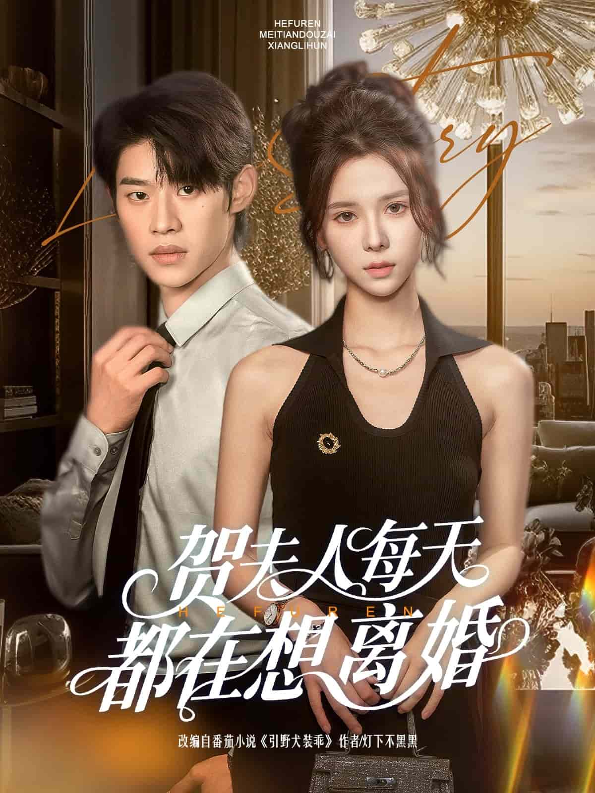 贺夫人每天都在想离婚 第1集