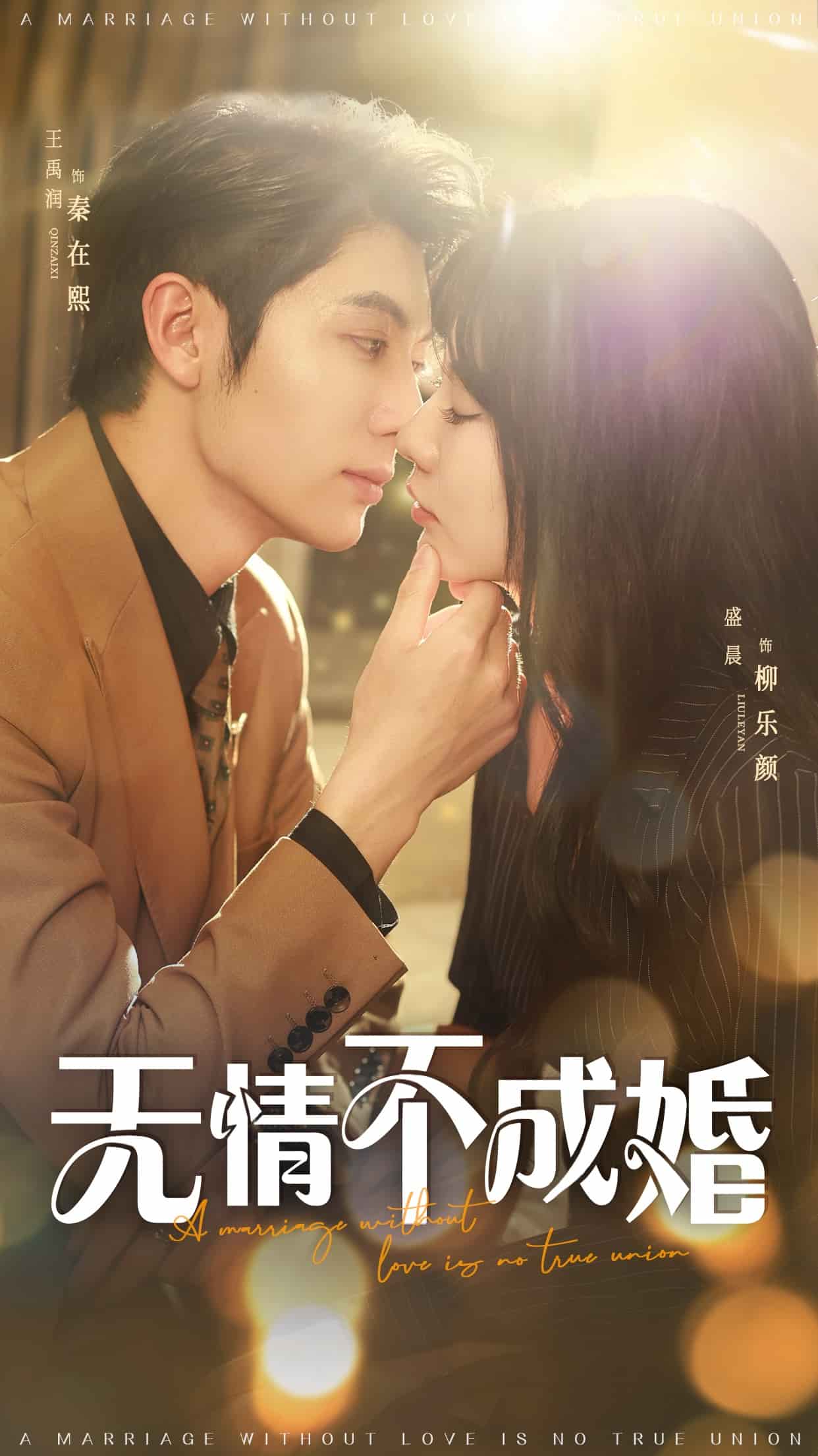 无情不成婚 第1集