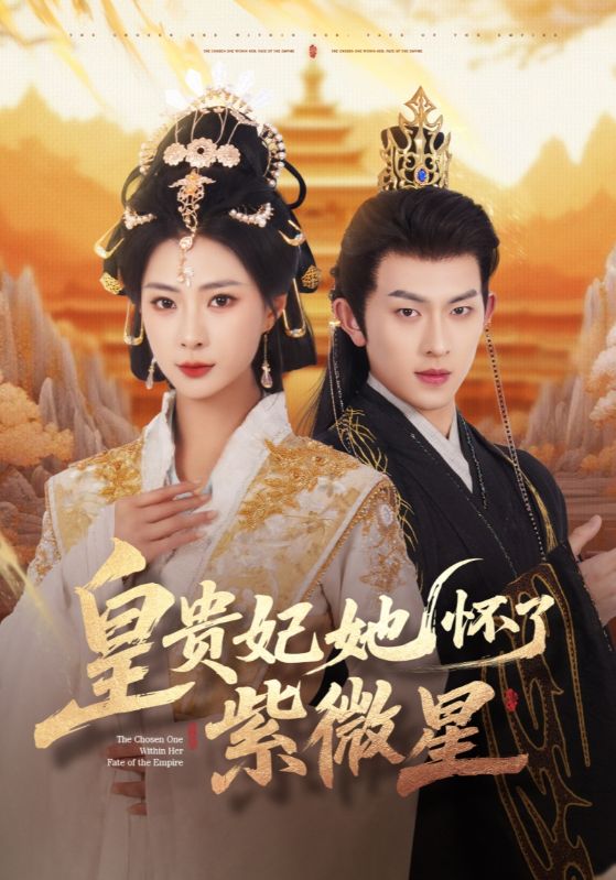 皇贵妃她怀了紫薇星 第1集