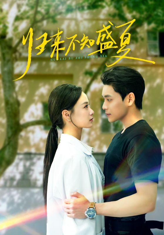 归来不知盛夏 第1集