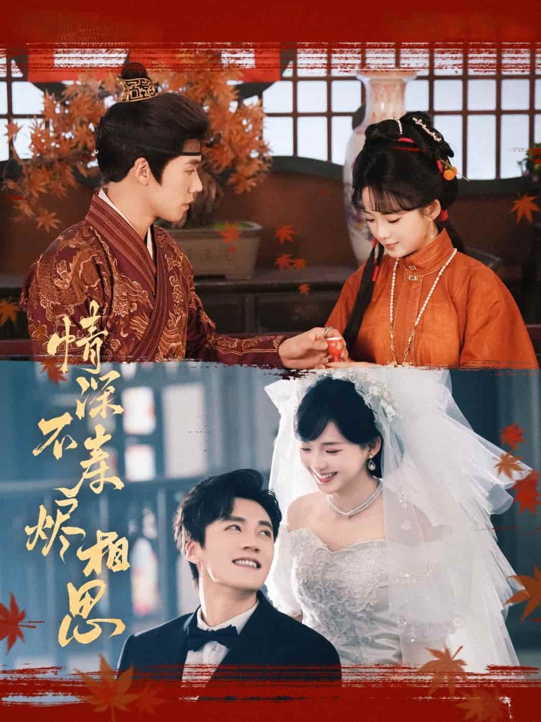 情深不寿烬相思 第1集
