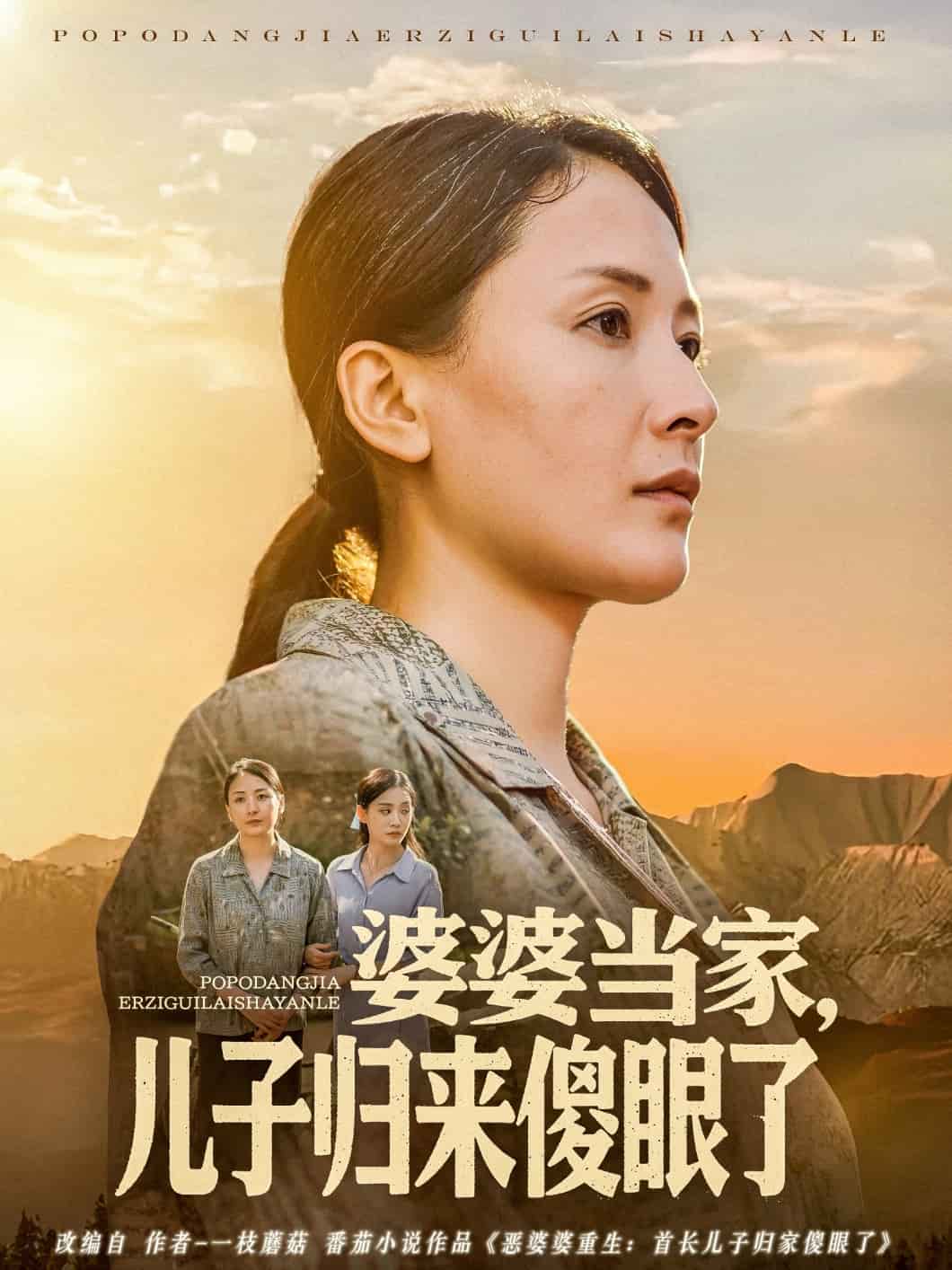 婆婆当家儿子归来傻眼了 第1集