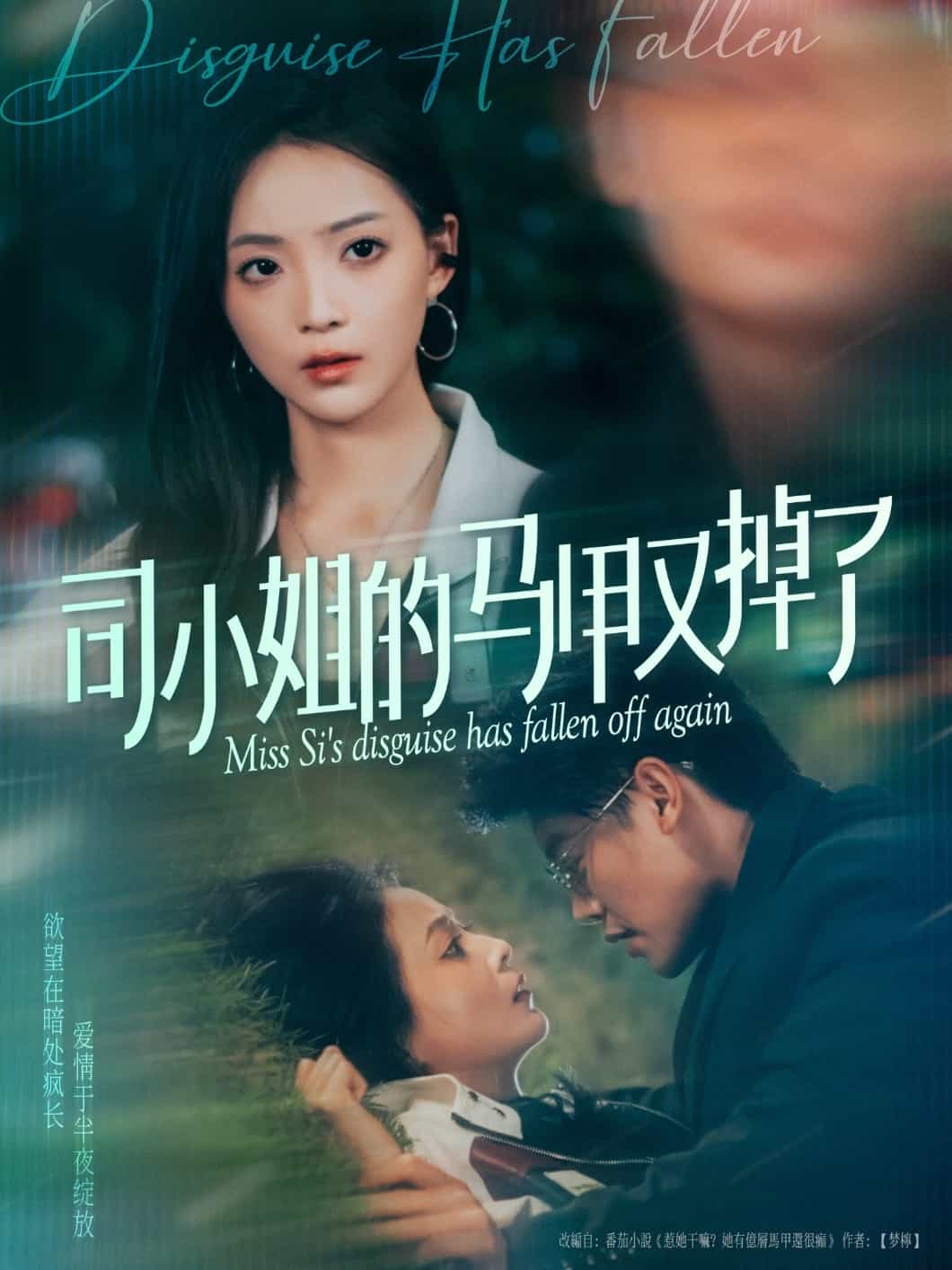 司小姐的马甲又掉了 第5集