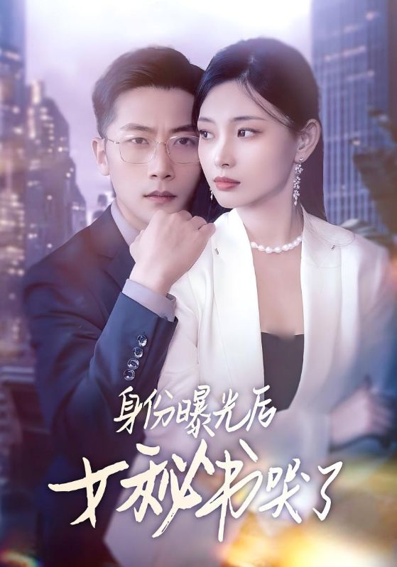 身份曝光后女秘书哭了 第29集