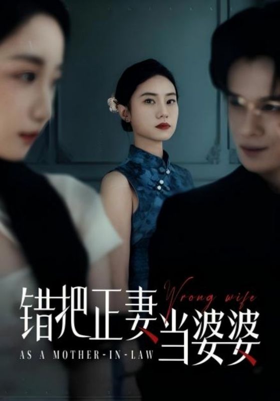 错把正妻当婆婆 第45集